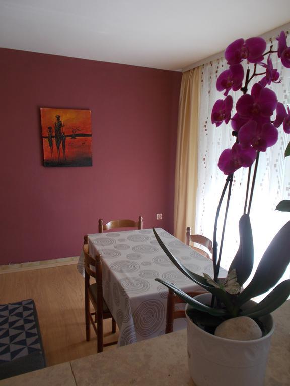 Apartments Sara Labin  Extérieur photo